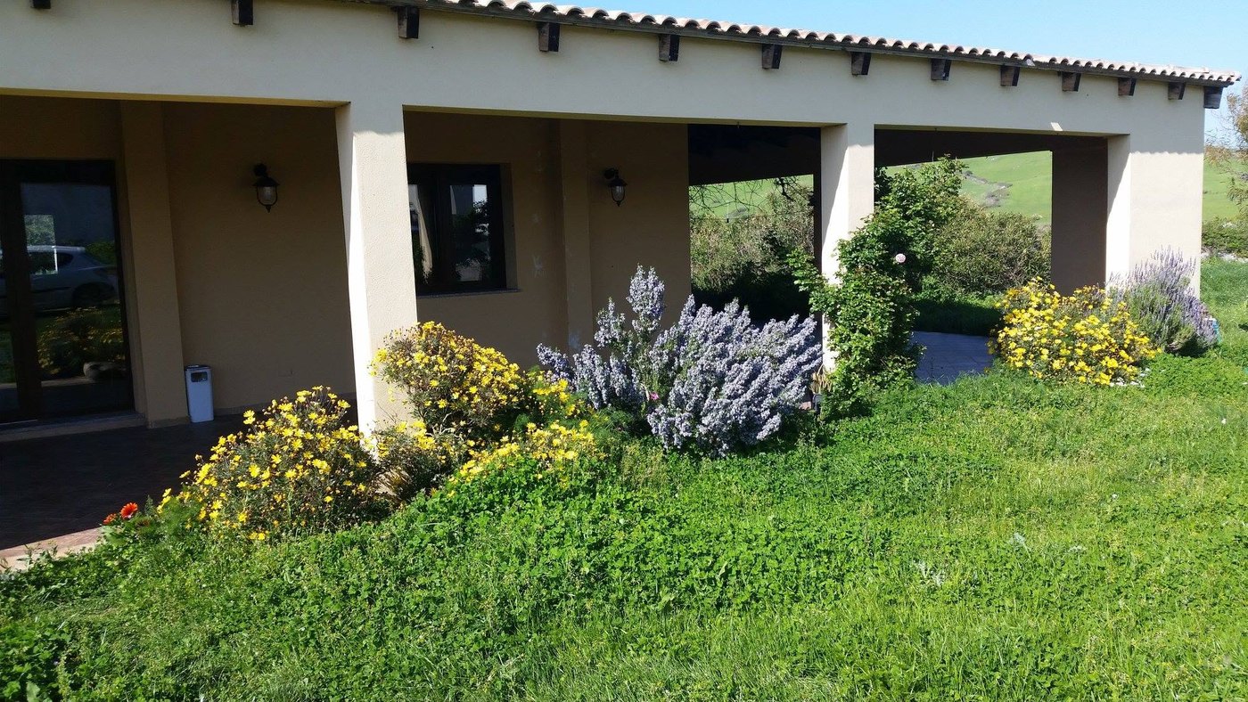 Portico color crema con tetto in coppi dell'Agriturismo Monte Alma, cespugli fioriti gialli e lilla sul prato verde
